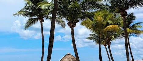 Uma praia com palmeiras, um guarda-sol de palha e vista para o oceano.