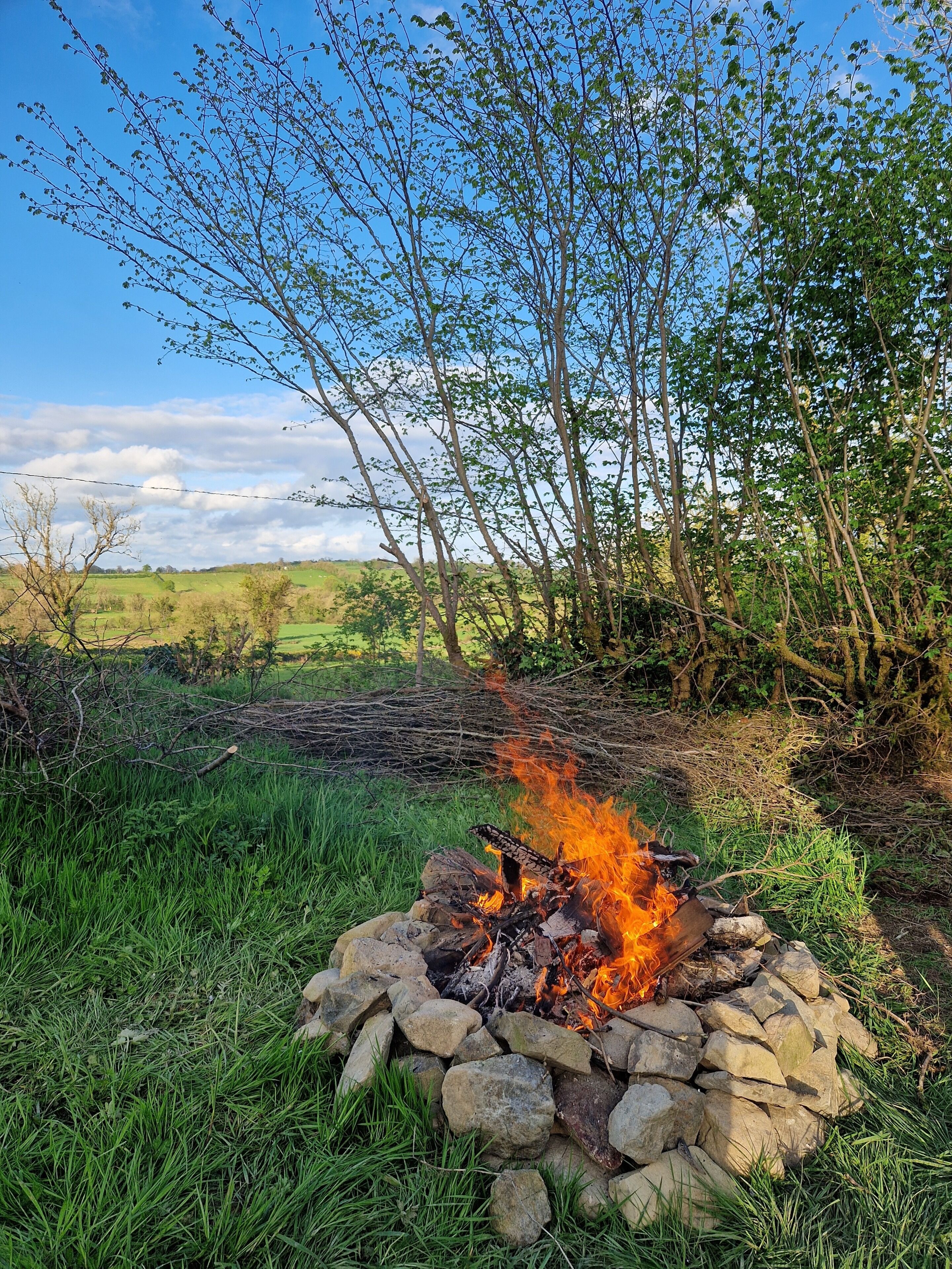 A campfire surrounded by rocks and grass, with trees and a clear sky in the background.