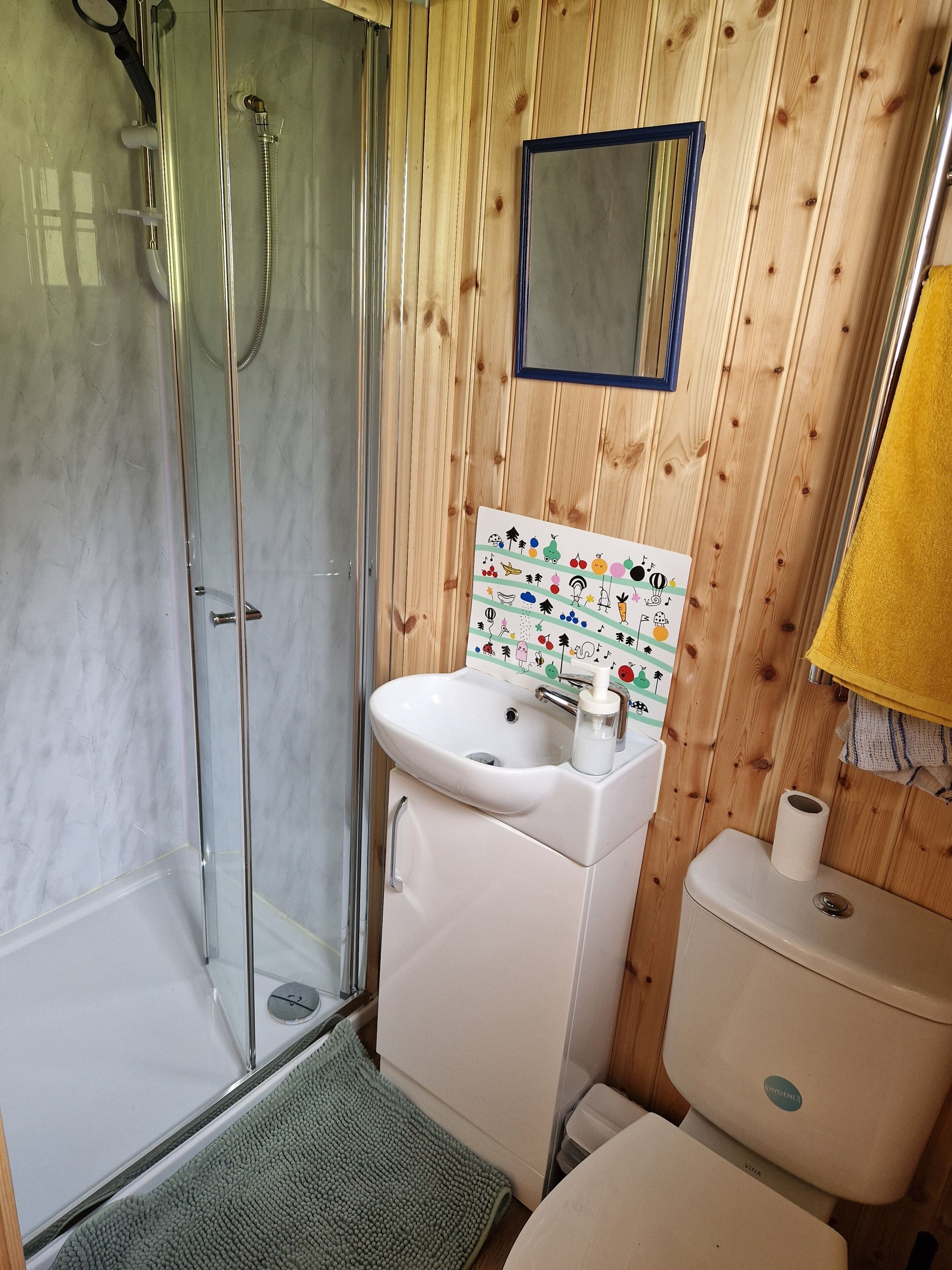 Shower, towels, soap, toilet paper