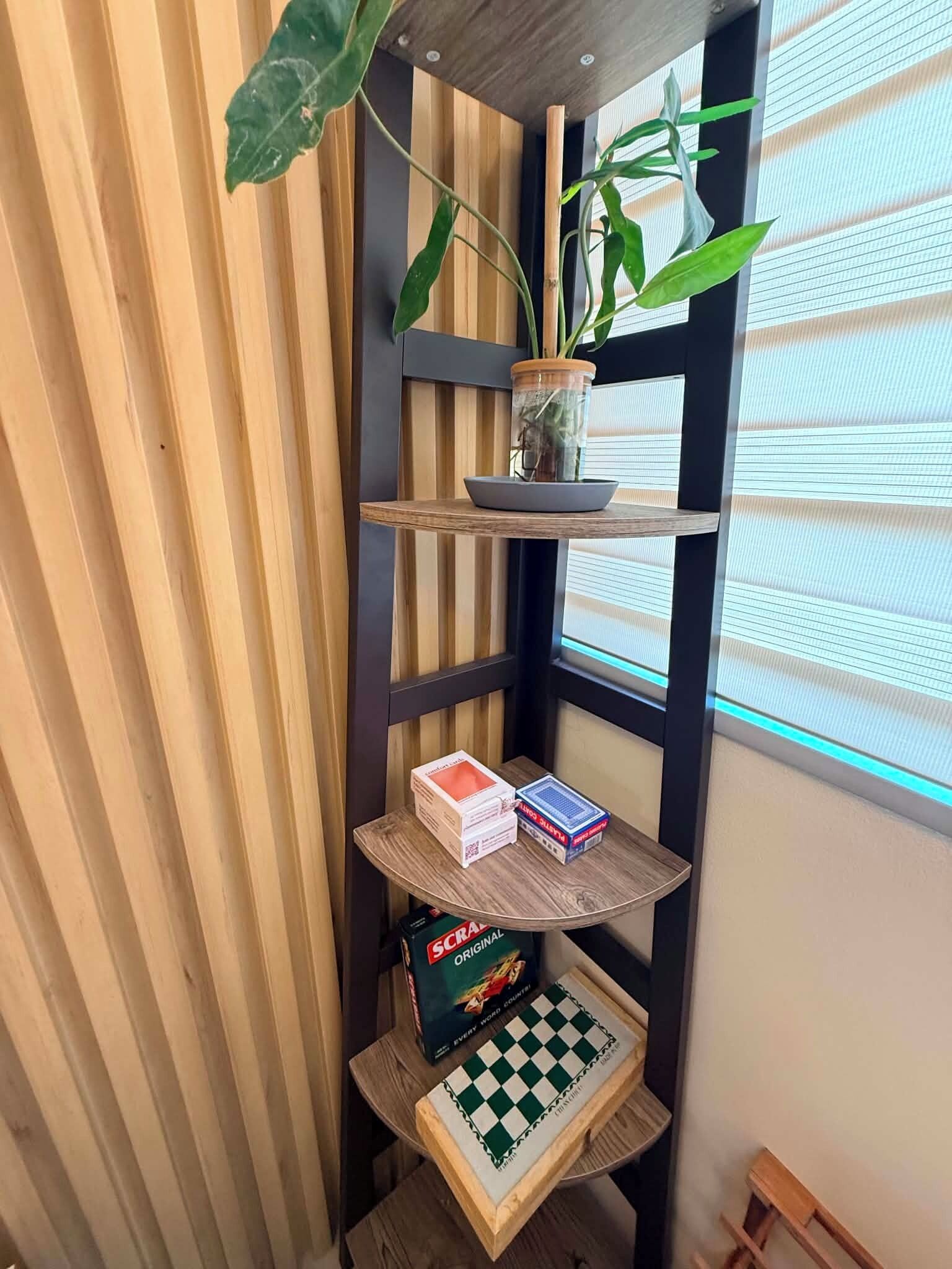 A corner with a wooden shelf holding a plant, a bowl, and a chessboard.