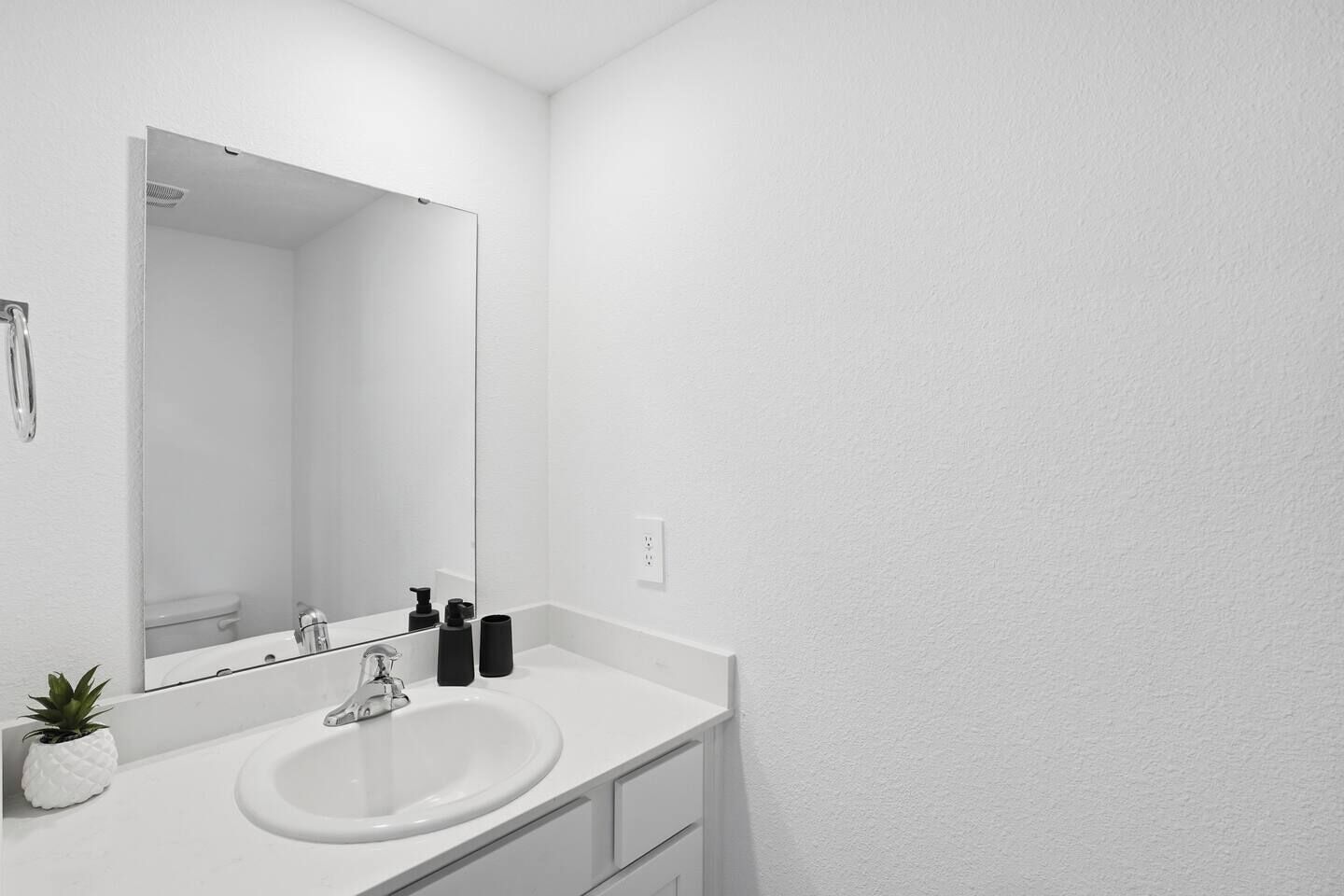 Un baño con un lavamanos blanco, un espejo y una pequeña planta en maceta.