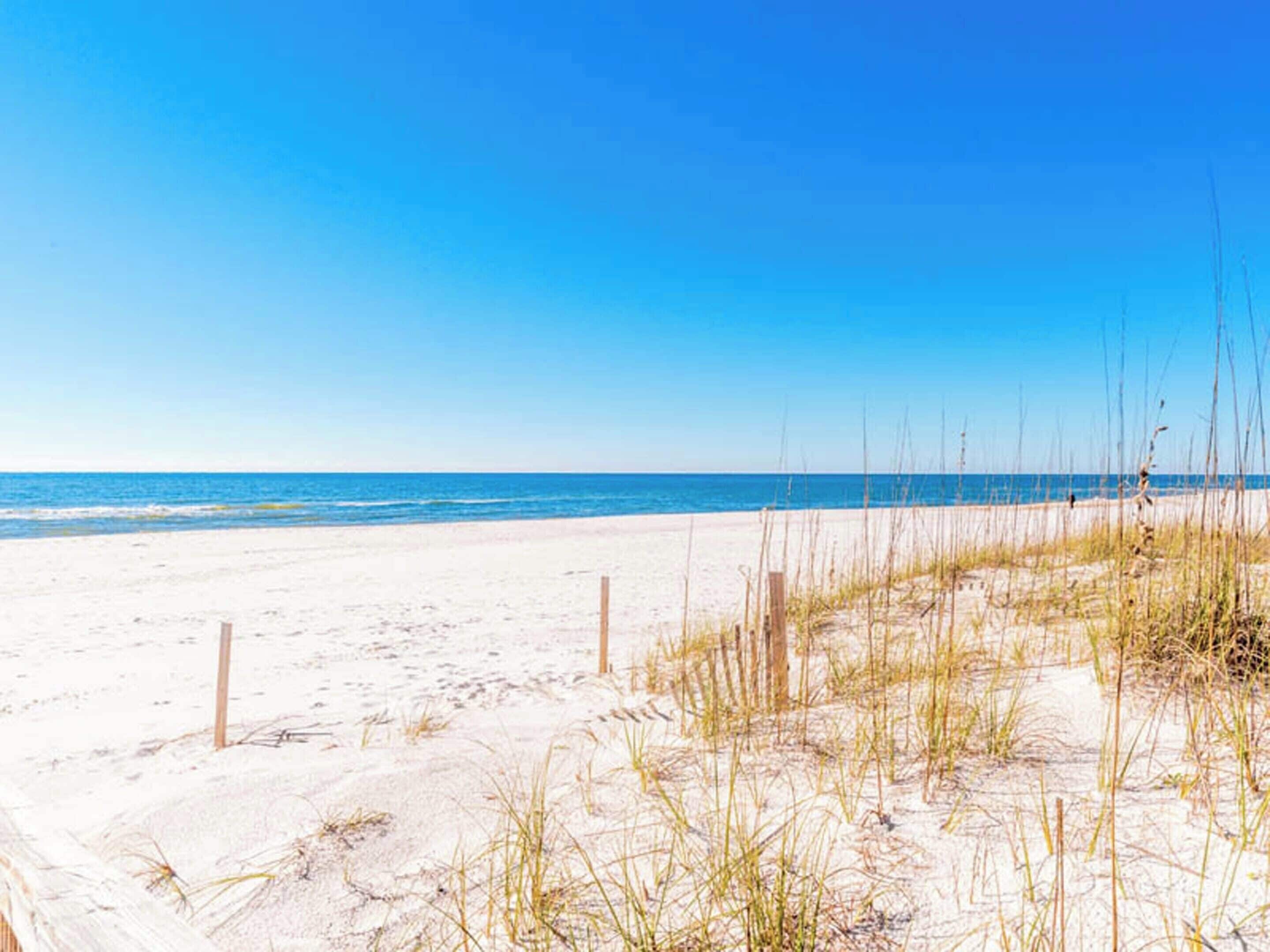 A beach with sand and sparse vegetation.