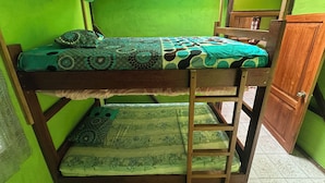 A bunk bed with a green canopy, a wooden ladder, and a green wall.