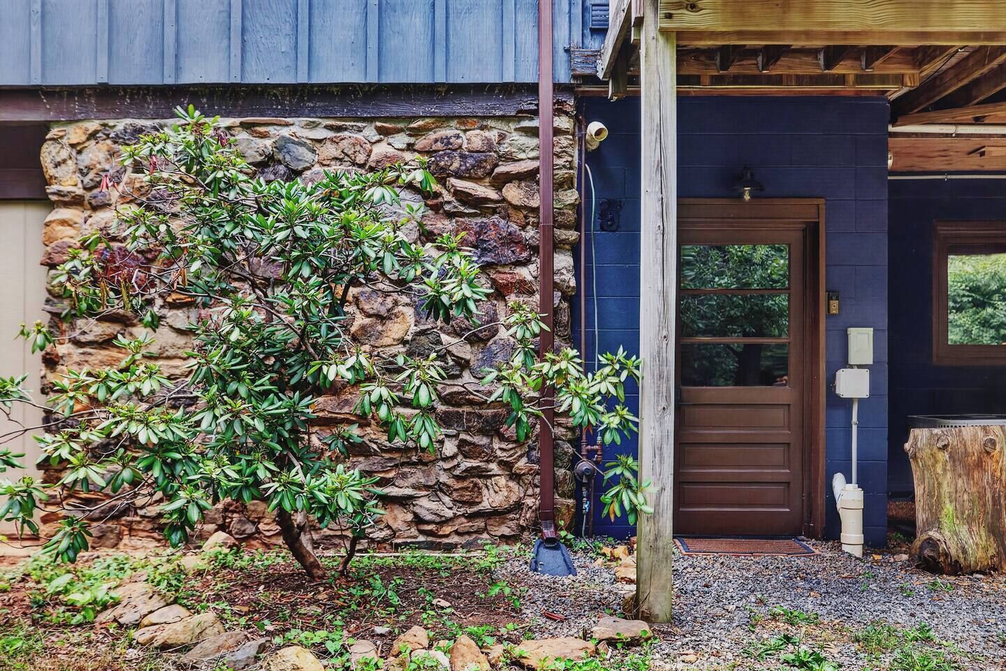 A stone wall with a small tree in front of a wooden door.