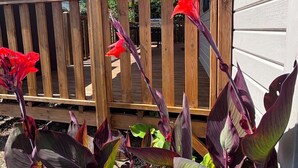 Una terrassa de fusta amb una pèrgola a la part superior, envoltada de plantes de fulles grans.