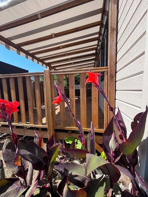 A wooden deck with a pergola overhead, surrounded by plants with large leaves.