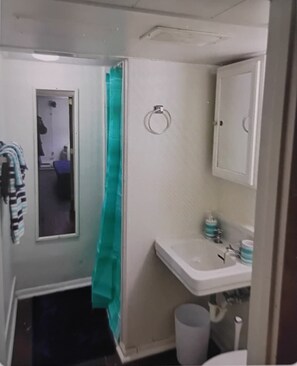 A bathroom with a shower curtain, a sink with a mirror, and a toilet. - Serene 1-bedroom apartment with AC in Columbus (Columbus)