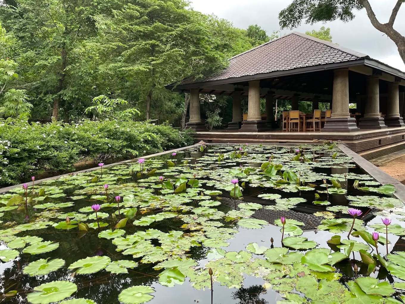 Um jardim tranquilo com um pavilhão, folhas de nenúfar e vegetação exuberante.