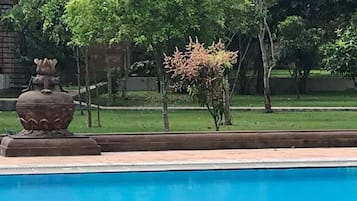 Outdoor pool, sun loungers
