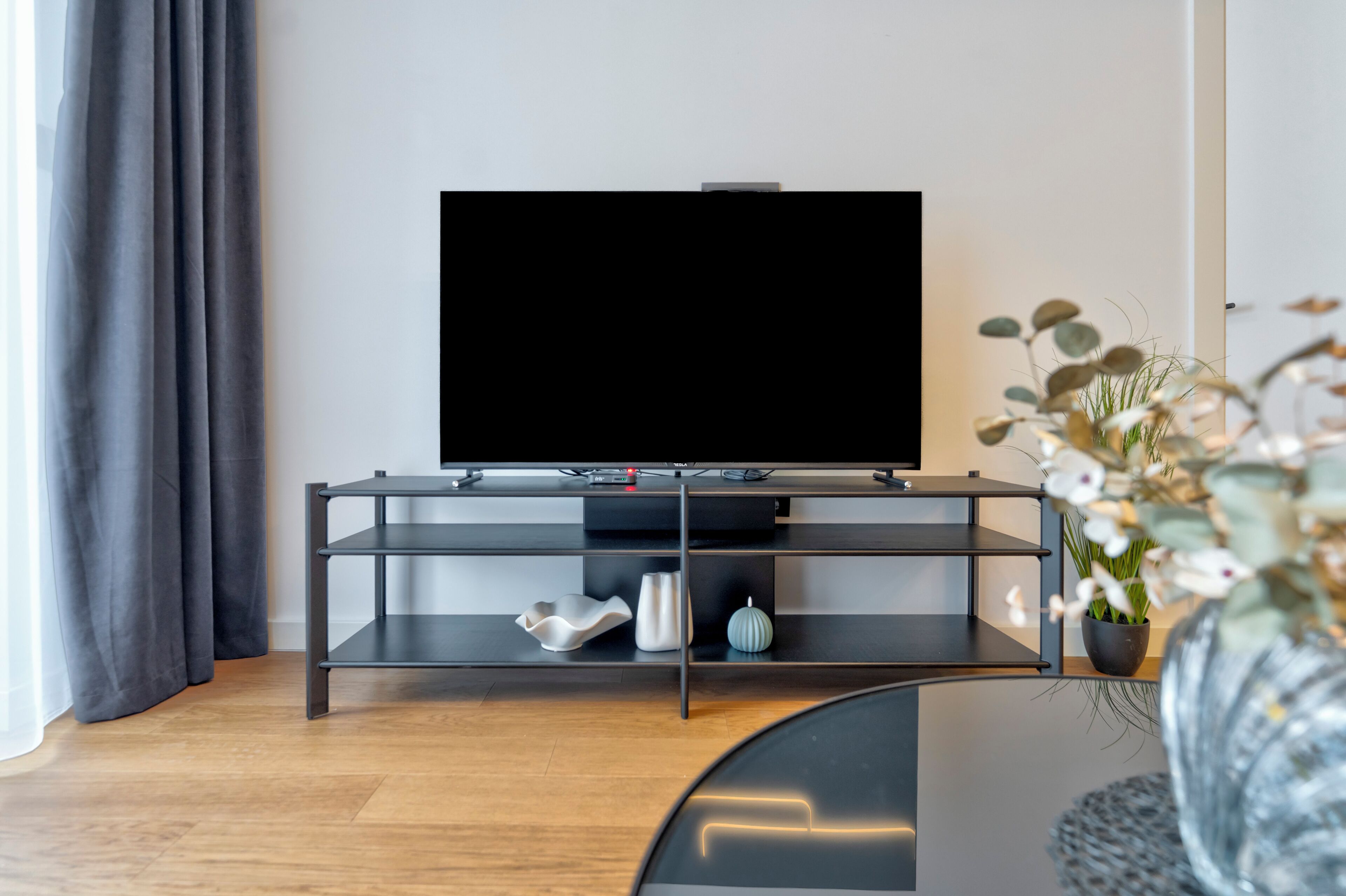 Un salon moderne avec un téléviseur à écran plat posé sur un meuble noir, un plancher en bois et une plante en pot.
