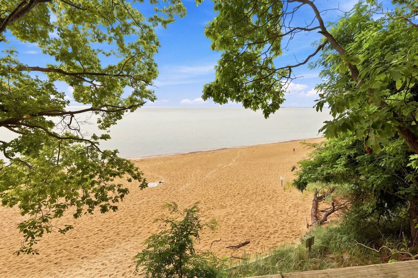 A beach with a clear sky, surrounded by trees.