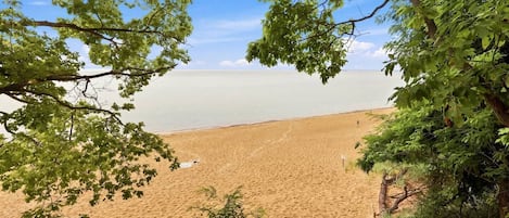 A beach with a clear sky, surrounded by trees.