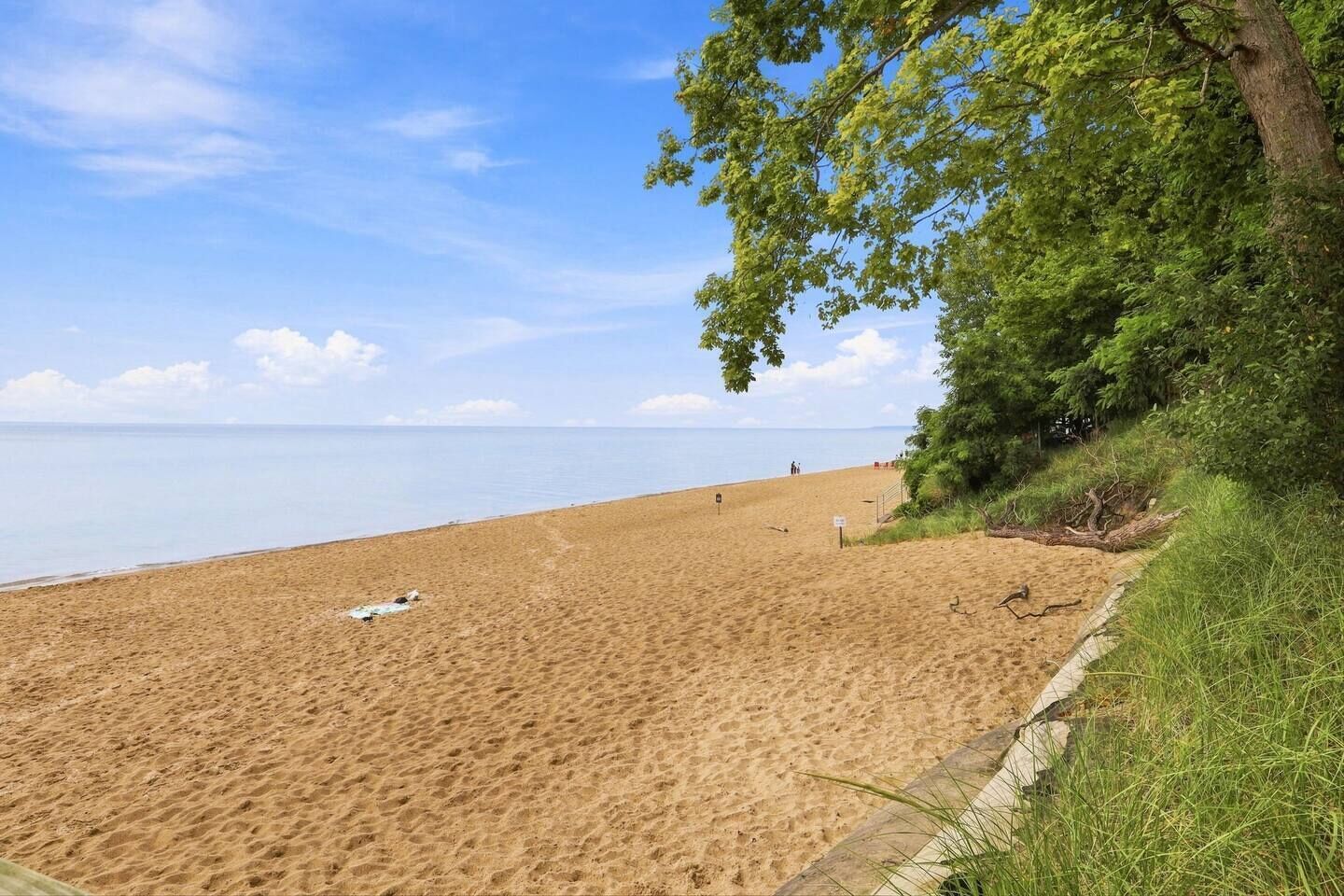 A sandy beach with a clear sky, a few people in the distance, and a grassy area with trees on the right.