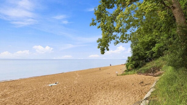 A sandy beach with a clear sky, a few people in the distance, and a grassy area with trees on the right. - Waterfront Condo | King Bed | Walk to Douglas (Douglas)