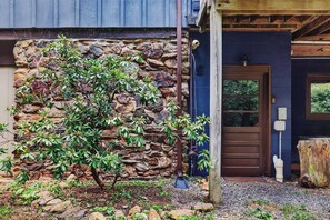 A stone wall with a small tree in front of a wooden door.