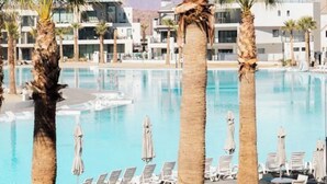 A pool area with lounge chairs and palm trees. -  DesertColor St. George Spacious 4-bedroom house pool & hot tub front door steps (St. George)