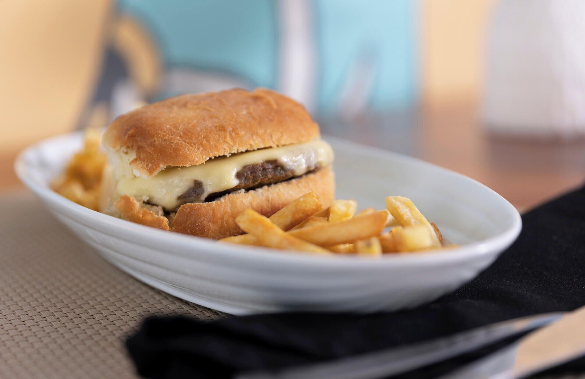 A plate with a hamburger and fries.
