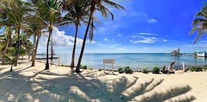 Trên bãi biển 
