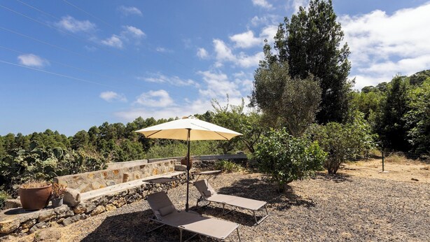 An outdoor seating area with lounge chairs and a table, surrounded by a stone wall and a large tree. - Home2Book Icod Terrace, BBQ & Nature (Icod de los Vinos)