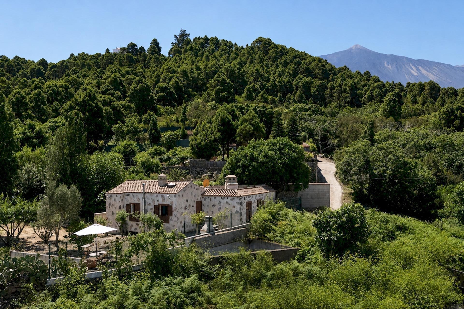 Un bâtiment entouré d’une végétation luxuriante, avec une montagne en arrière-plan.