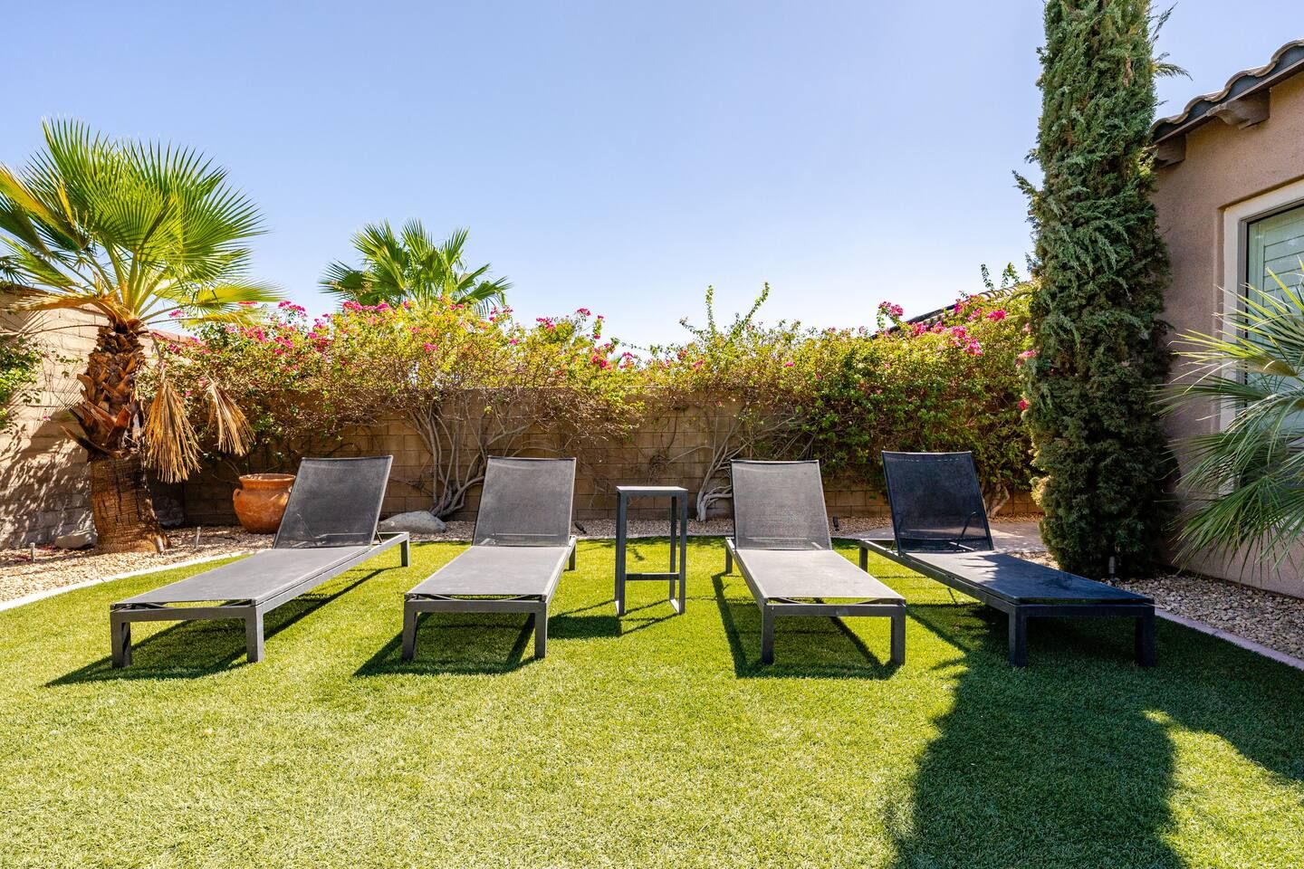 Une terrasse avec cinq chaises longues disposées en rangée, un palmier et diverses espèces d’arbustes à fleurs.