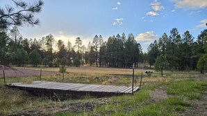 En træterrasse i et naturligt landskab med skov i baggrunden.