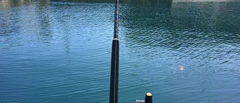 A fishing rod mounted on a boat, with a pierhead sign and a bridge in the background.