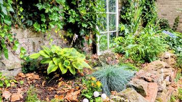 A garden with various plants, a stone wall, and a window.