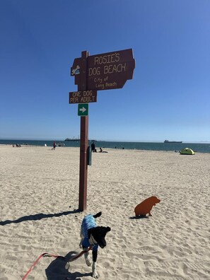 En skylt på stranden med texten ”ROSIE’S DOG BEACH” och ”EN HUND PER VUXEN”.