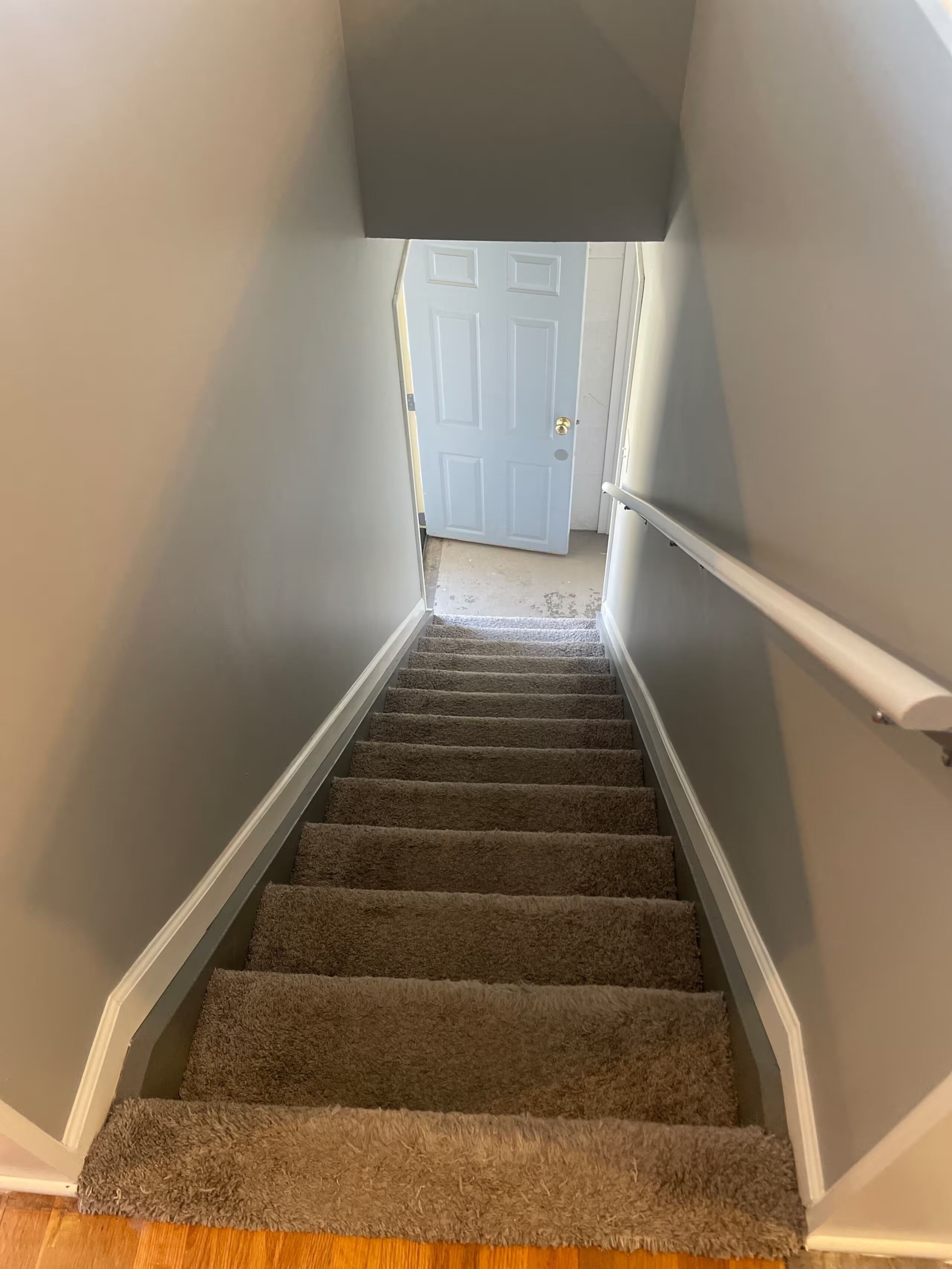 A carpeted staircase with a handrail, leading to a white door.