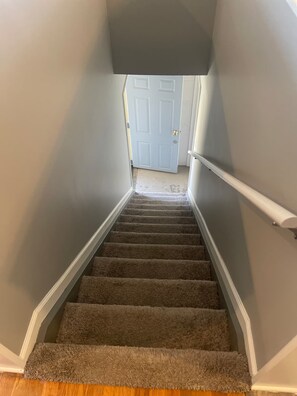 A carpeted staircase with a handrail, leading to a white door.