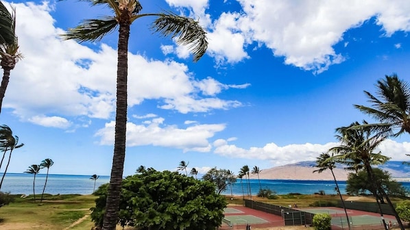 A beach view with palm trees, a tennis court, and a mountain in the background.