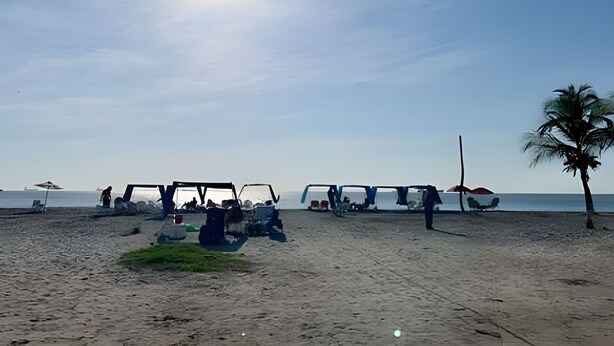 A beach with sun umbrellas and lounge chairs.