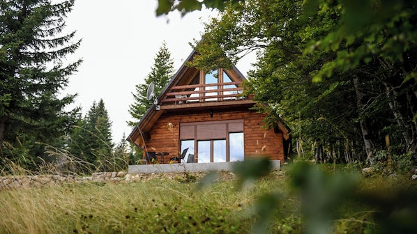 A wooden cabin with a sloped roof, large windows, and a satellite dish.