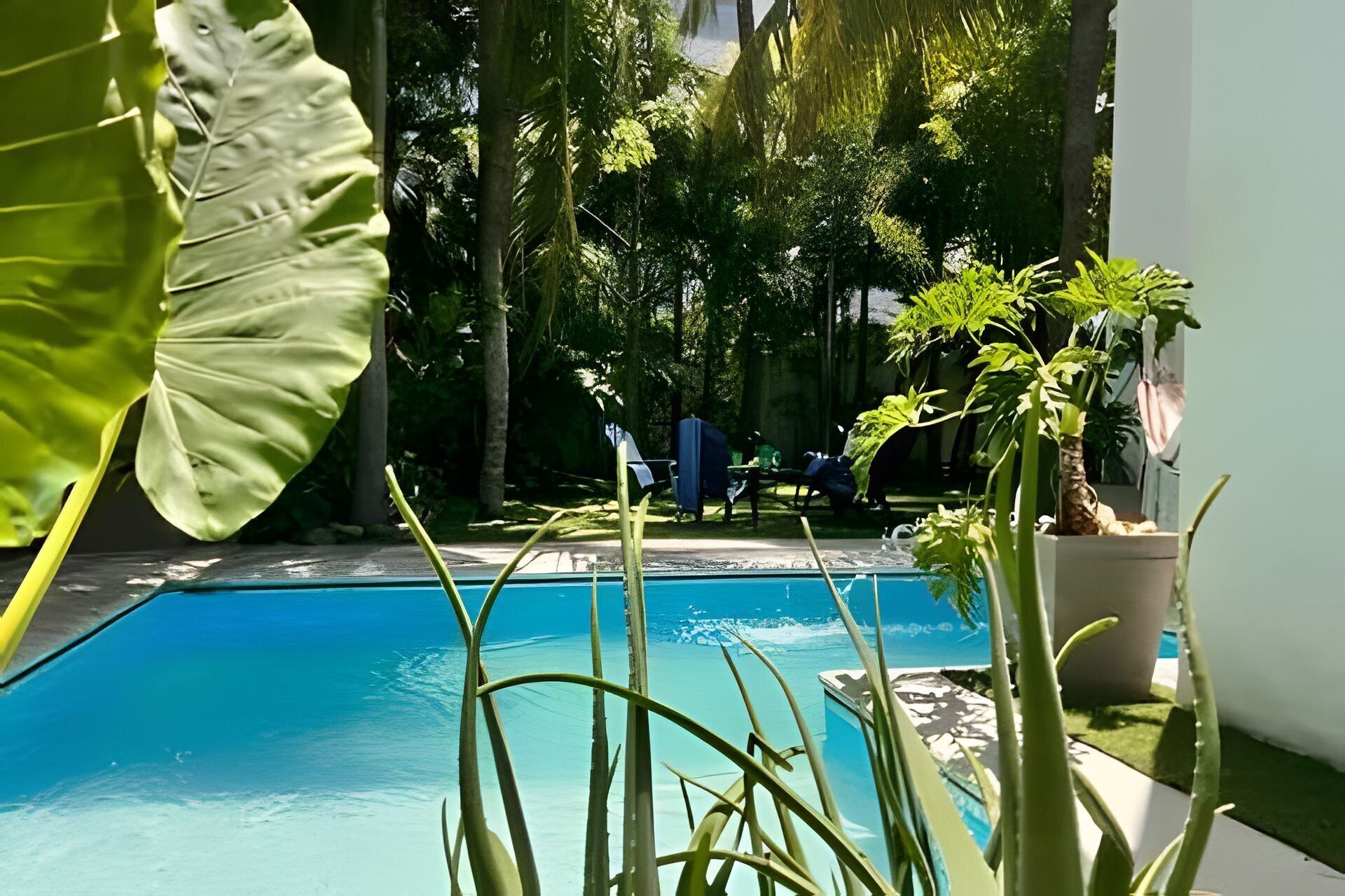 A swimming pool surrounded by lush greenery and a clear view of the ocean.