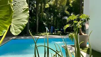 A swimming pool surrounded by lush greenery and a clear view of the ocean.