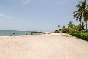 Ein Strand mit blauem Himmel, Palmen und einem sandigen Ufer.
