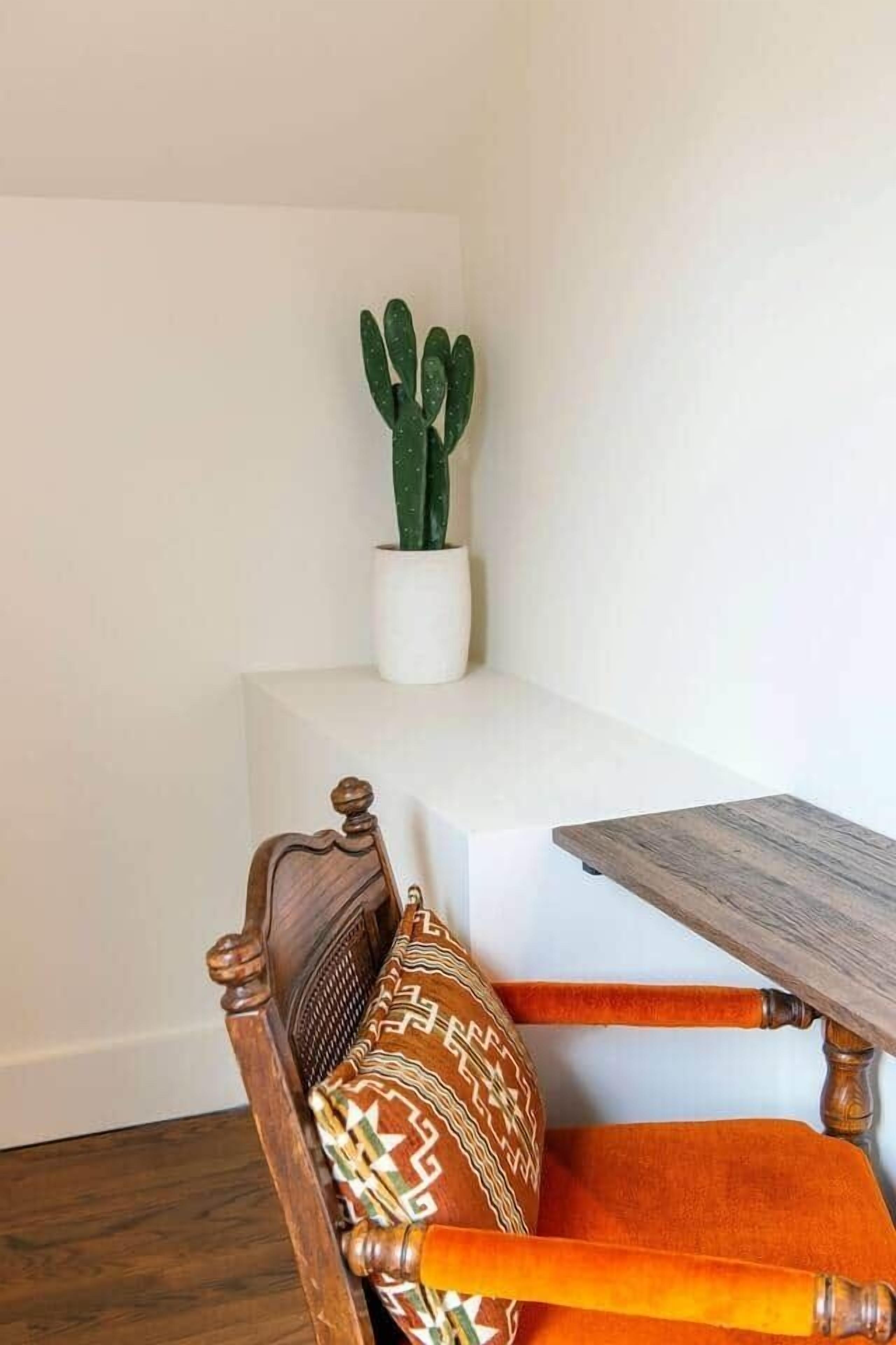 Een hoek van een kamer met een houten stoel, een wit kussen en een cactus in een pot.