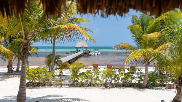 A beach view with a thatched-roof structure, palm trees, and a pier leading to a boat.