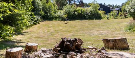 A natural outdoor area with a fire pit surrounded by rocks and tree stumps.
