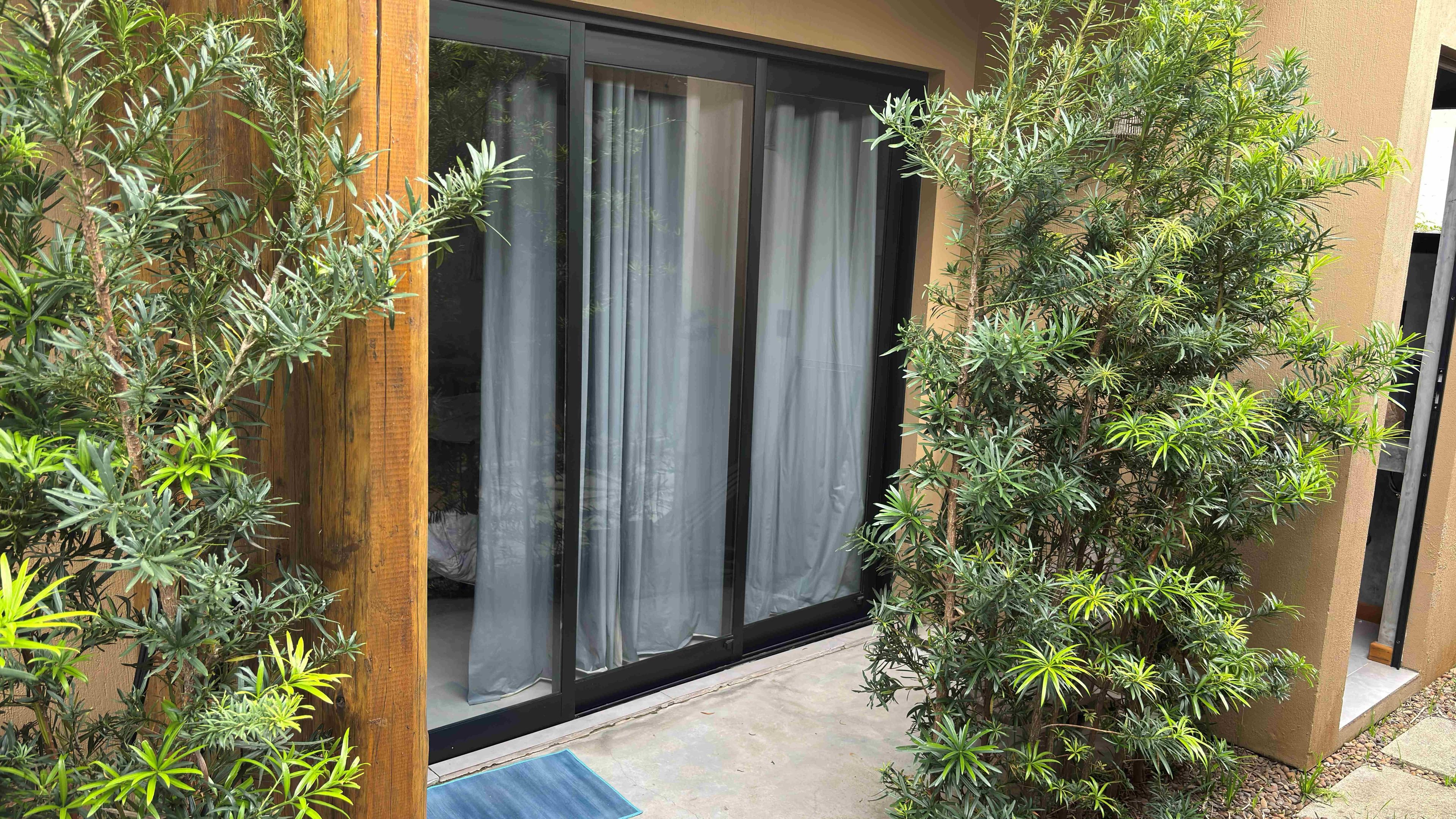 A modern building with a sliding glass door, a wooden fence, and various green plants.