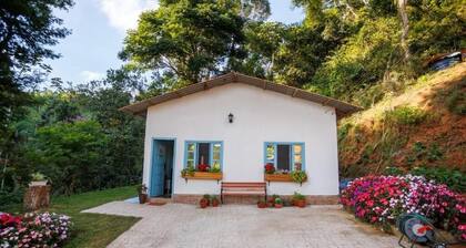 Little Blue House