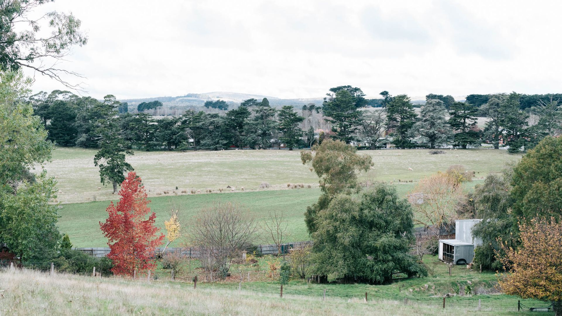 A rural landscape with a fenced field, trees, and a small structure.