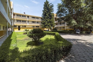 A courtyard with a central bush, a paved walkway, and a building with multiple balconies and windows. - Suite familiar en el centro de Queretaro con cocina equipada y wifi (Santiago de Querétaro)