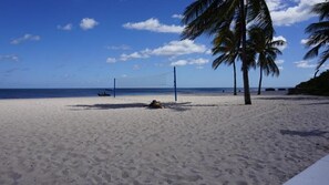 Una playa con una red de voleibol, palmeras y un cielo despejado.