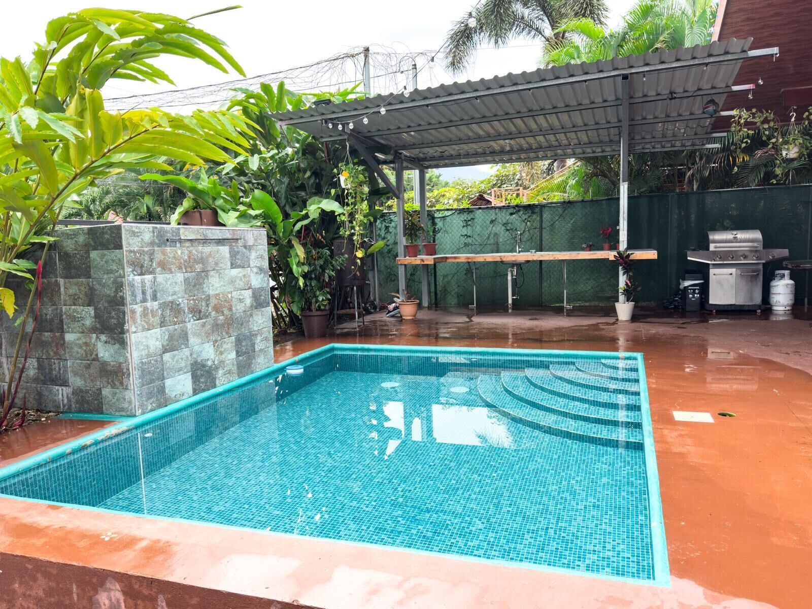 A rectangular swimming pool with a tiled edge, surrounded by a stone wall and potted plants.