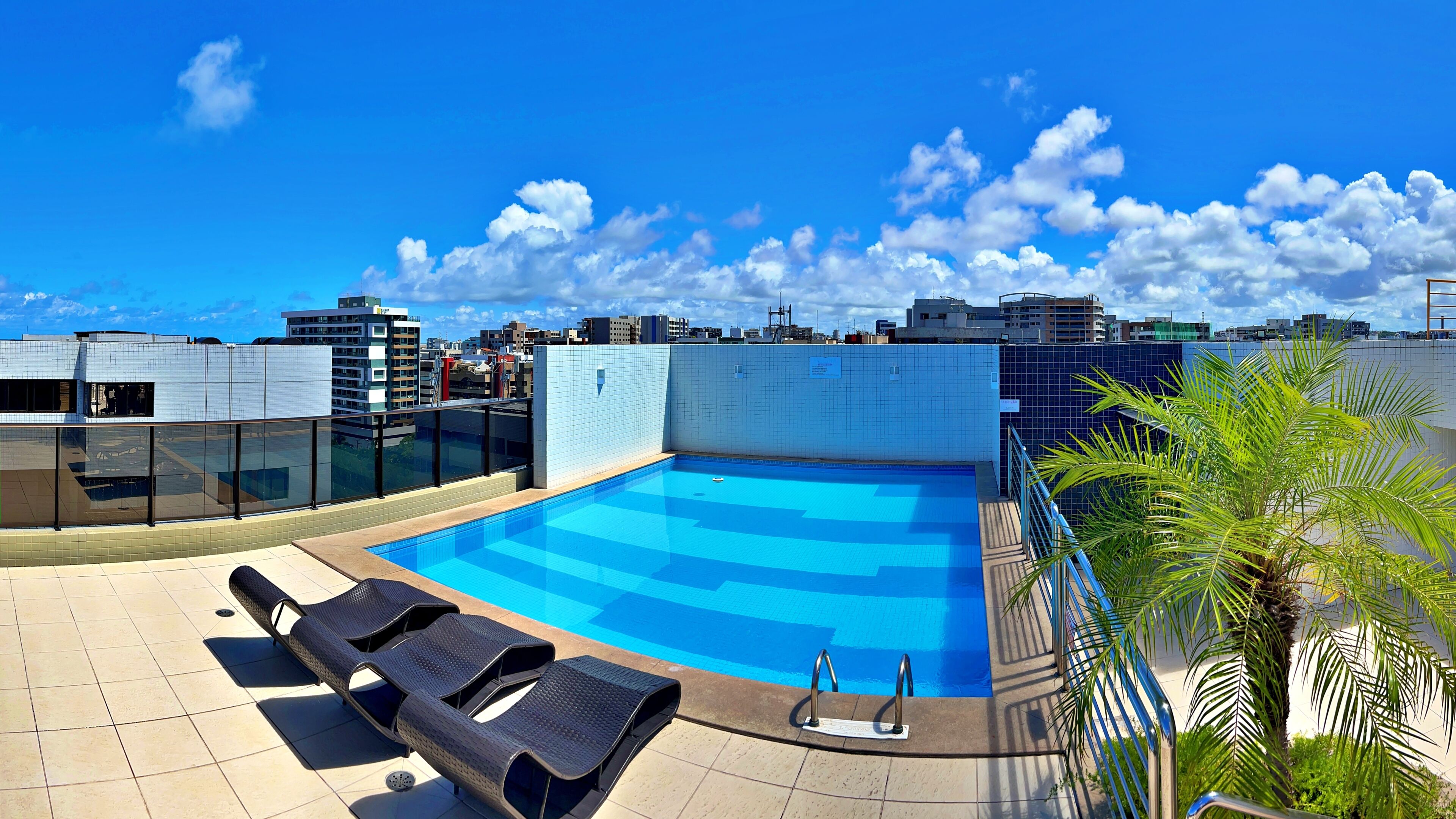 A rooftop swimming pool with lounge chairs and a palm tree.