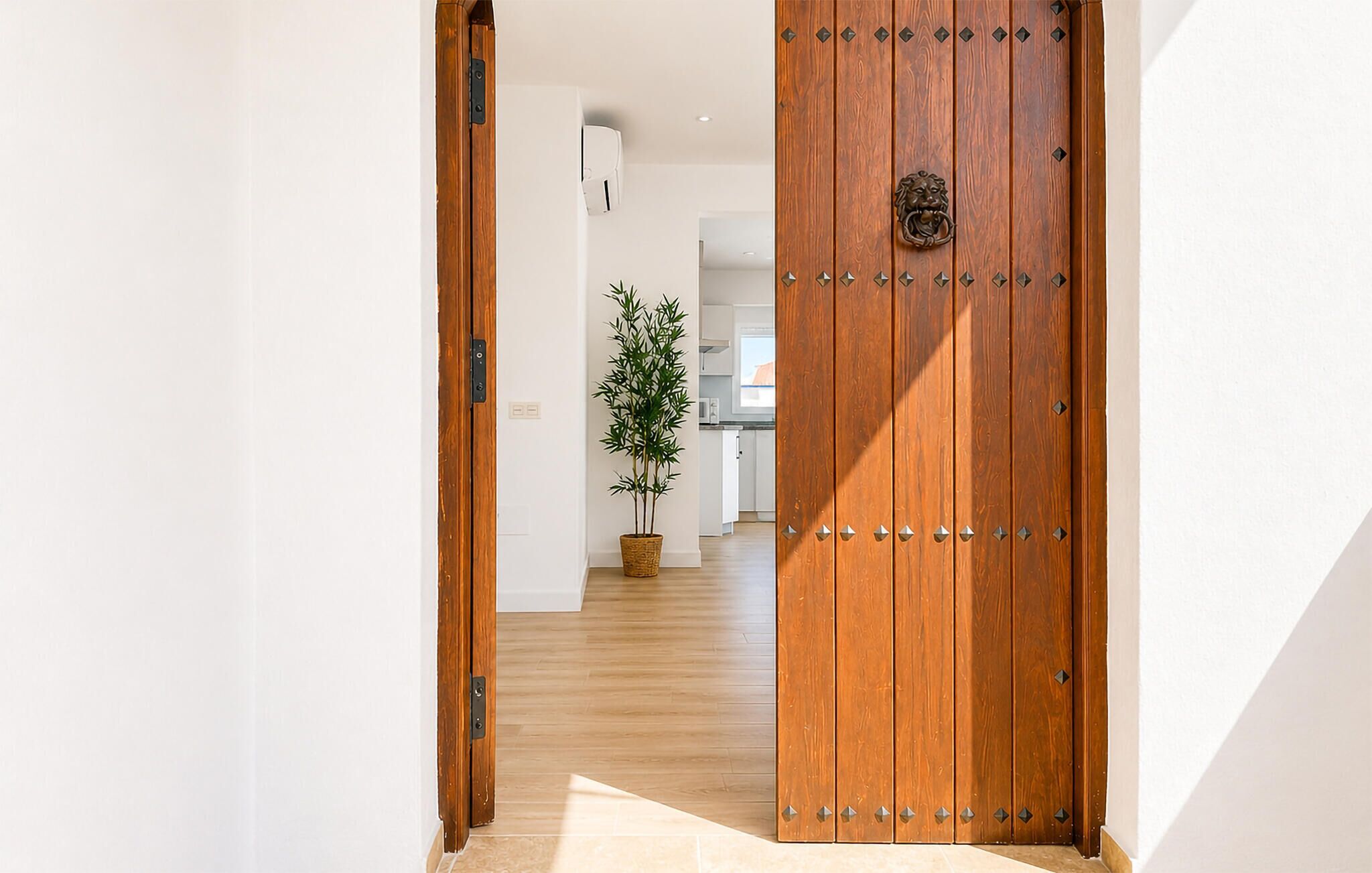A hallway with a wooden door and a potted plant.