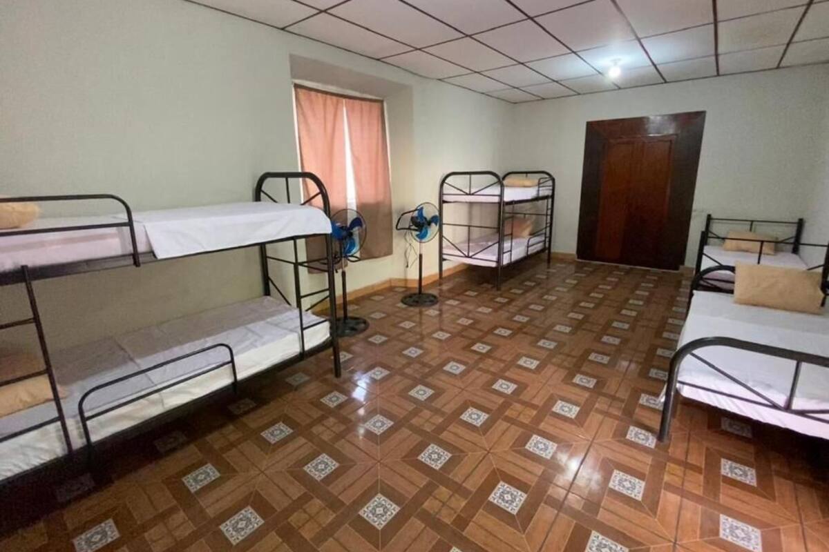 Classic Shared Dormitory