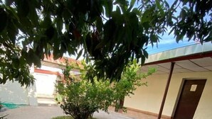 Un patio con suelo estampado, un árbol central y la entrada a un edificio.